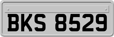 BKS8529