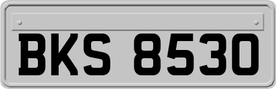 BKS8530