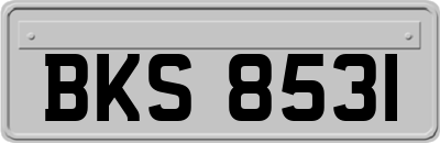 BKS8531