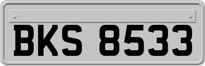 BKS8533