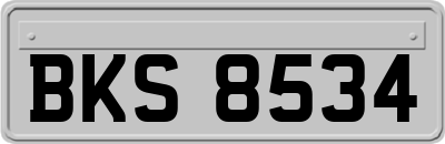 BKS8534