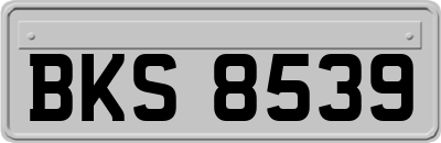 BKS8539