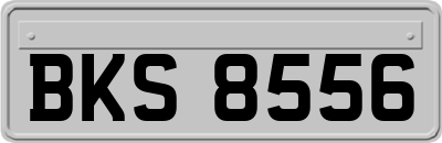 BKS8556