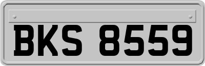 BKS8559