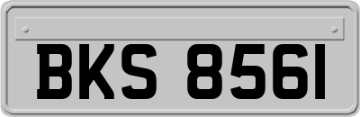 BKS8561