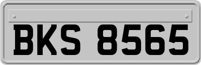 BKS8565