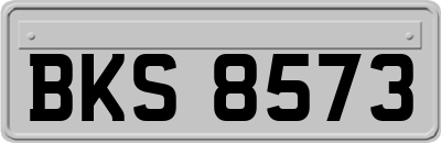 BKS8573