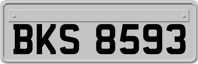 BKS8593