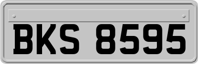 BKS8595