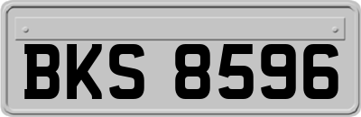 BKS8596