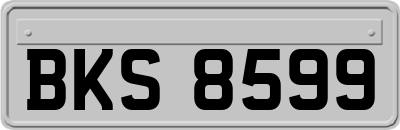 BKS8599