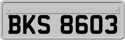 BKS8603