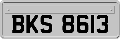 BKS8613