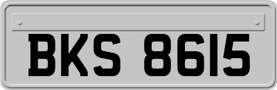 BKS8615