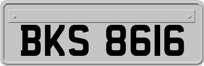 BKS8616