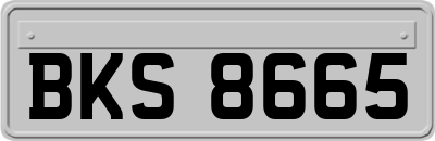 BKS8665