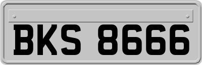 BKS8666