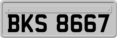 BKS8667