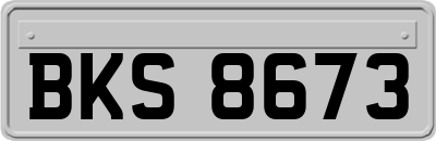 BKS8673
