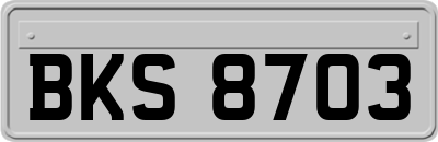 BKS8703