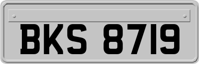 BKS8719