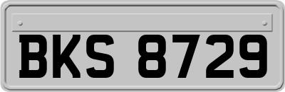 BKS8729