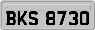 BKS8730