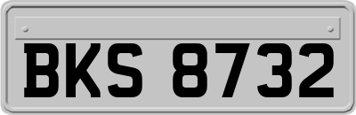 BKS8732