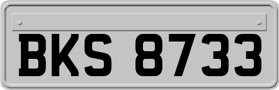 BKS8733