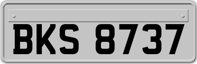 BKS8737