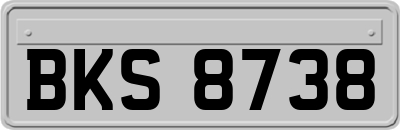BKS8738