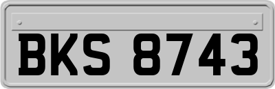 BKS8743
