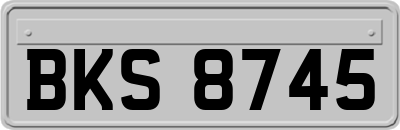 BKS8745