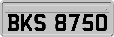 BKS8750