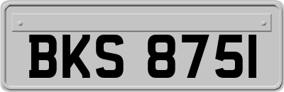 BKS8751