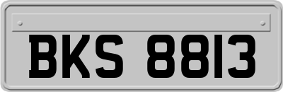 BKS8813