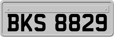 BKS8829