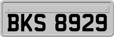 BKS8929