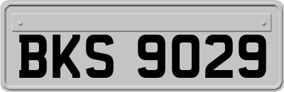 BKS9029