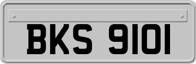 BKS9101