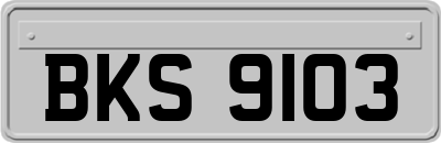 BKS9103