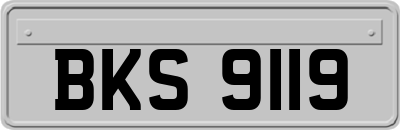 BKS9119