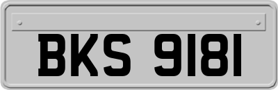 BKS9181