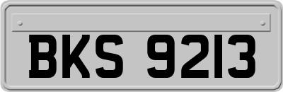 BKS9213