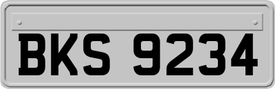 BKS9234