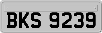 BKS9239