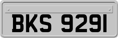 BKS9291