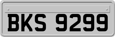 BKS9299