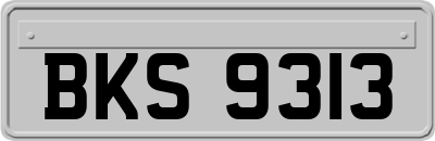 BKS9313