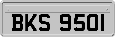 BKS9501